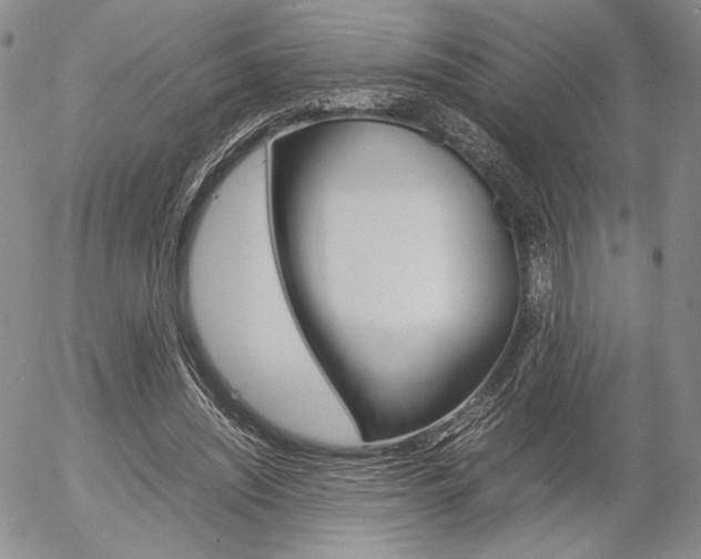 X0000054390444200507290810