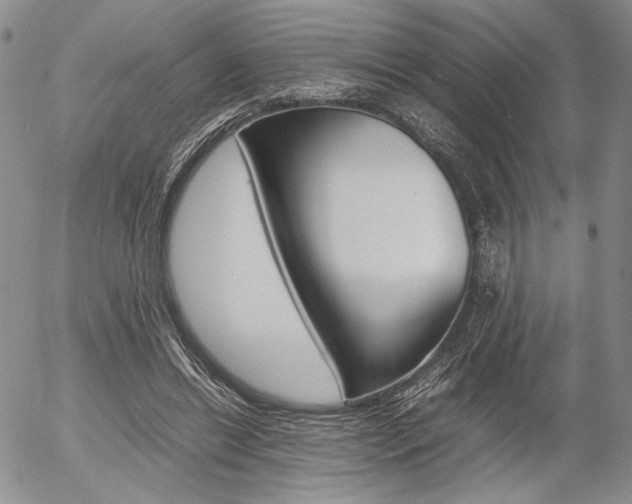 X0000054390446200507290810