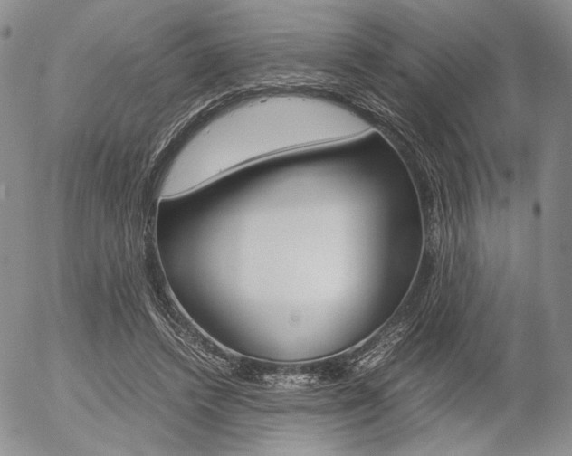 X0000054390448200507290810