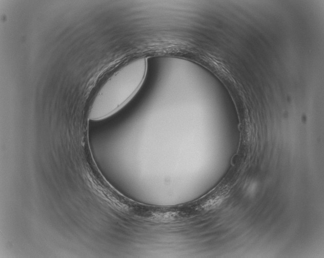 X0000054390450200507290810