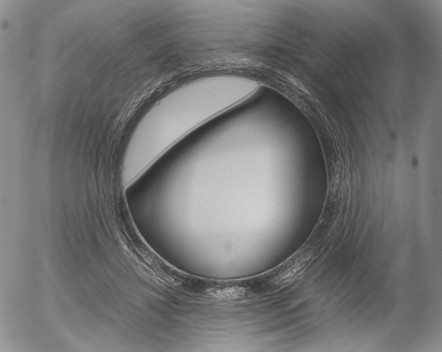 X0000054390452200507290810