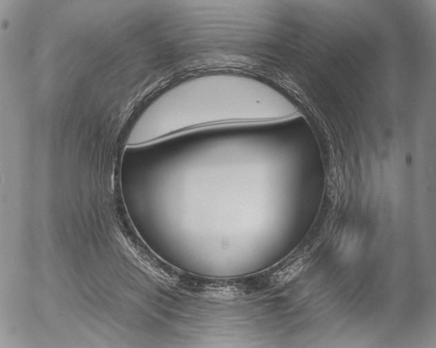 X0000054390454200507290810