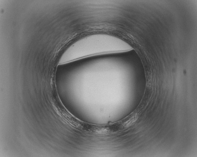 X0000054390456200507290810