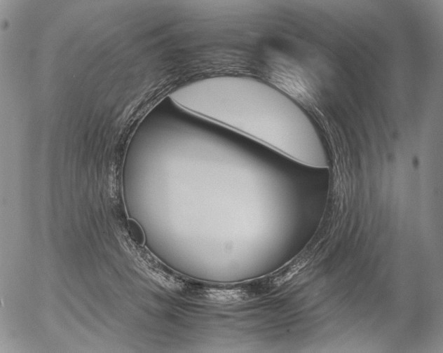 X0000054390457200507290810