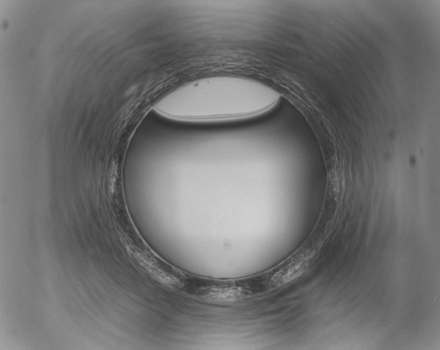 X0000054390458200507290810