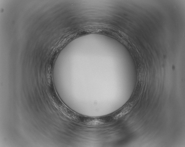 X0000054390460200507290810