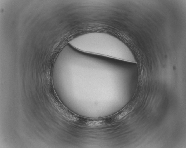X0000054390461200507290810