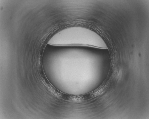 X0000054390466200507290810