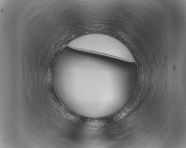 X0000054390467200507290811