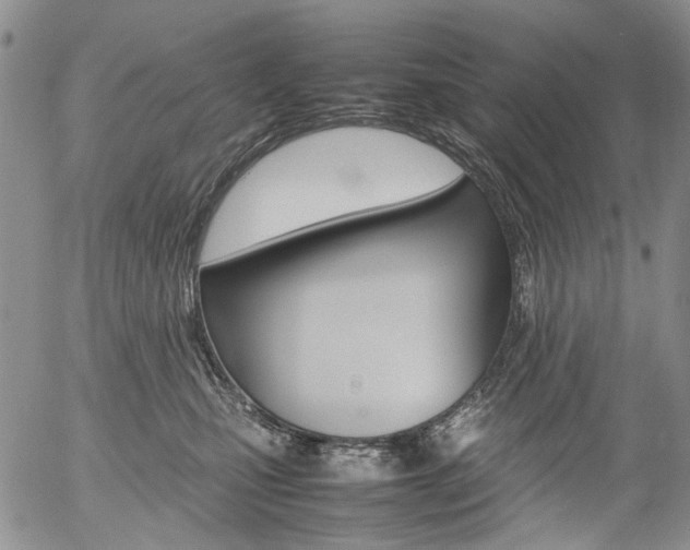 X0000054390471200507290811