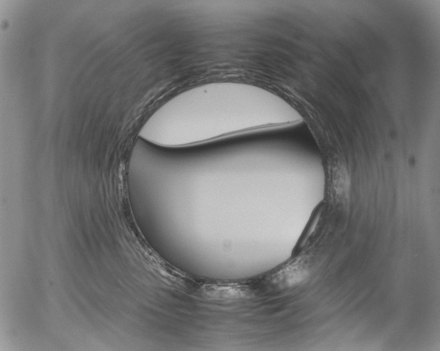 X0000054390475200507290811
