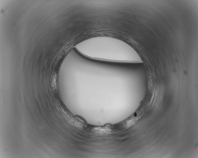 X0000054390477200507290811