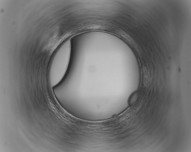X0000054390482200507290810