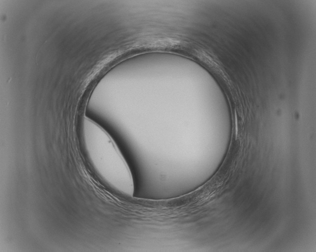 X0000054390483200507290810