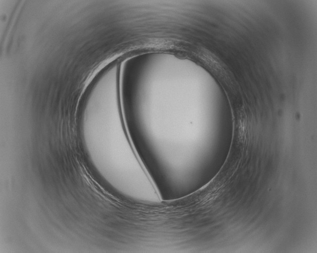 X0000054390484200507290810