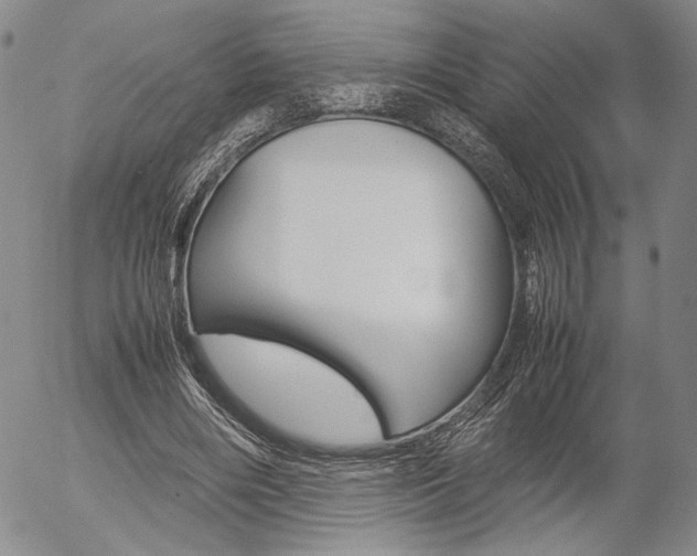 X0000054390490200507290810
