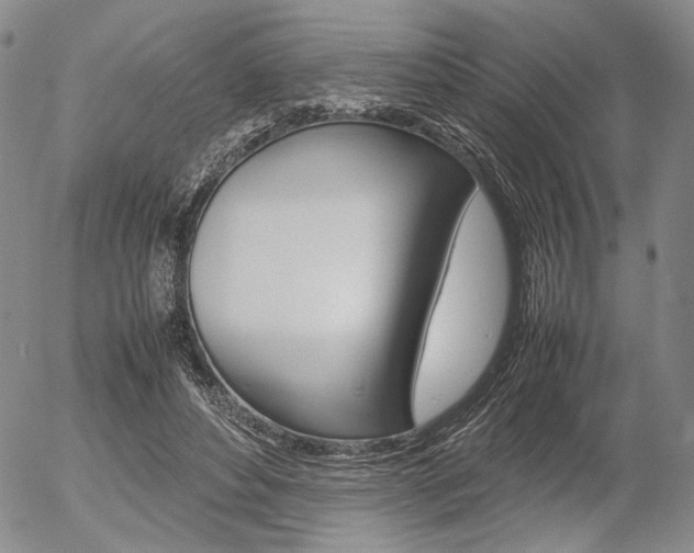 X0000054390496200507290810
