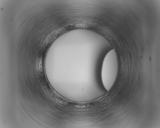 X0000054390502200507290810