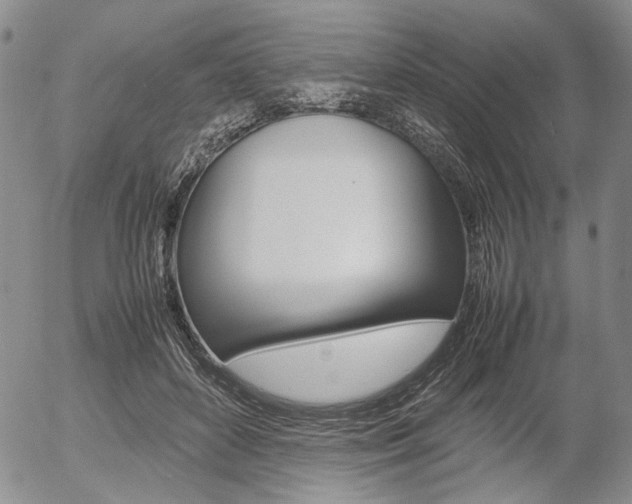X0000054390504200507290810