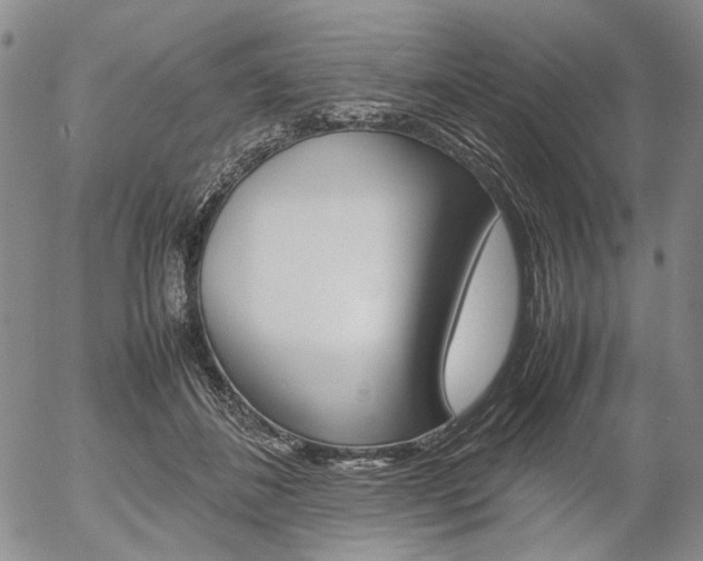 X0000054390508200507290809
