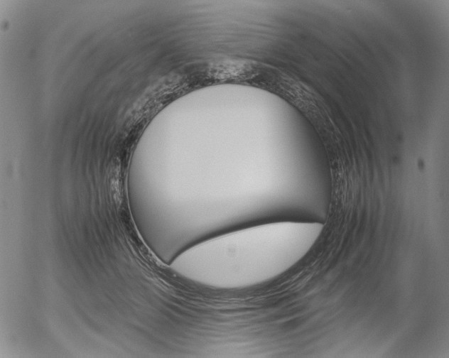 X0000054390510200507290809