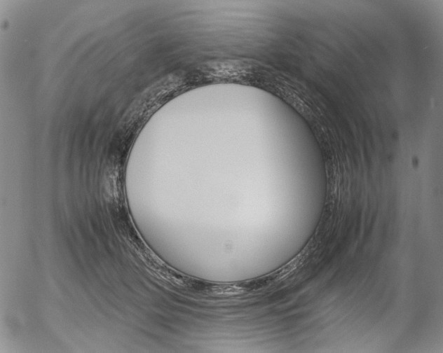 X0000054390514200507290809