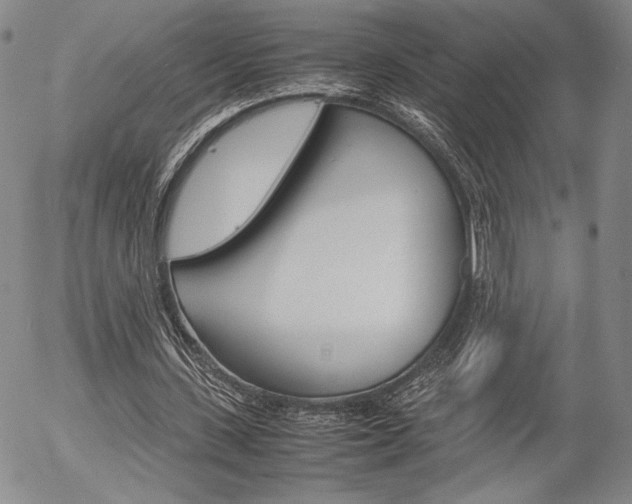 X0000054390531200507290808