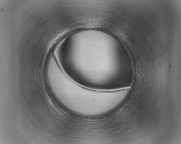 X0000054390536200507290808