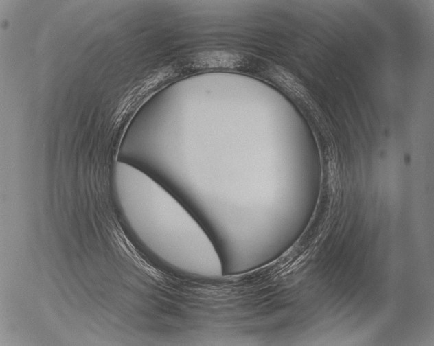 X0000054390537200507290809