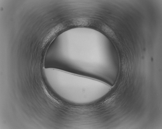 X0000054390538200507290809