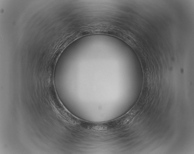 X0000054390546200507290809