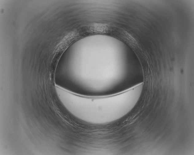 X0000054390552200507290809