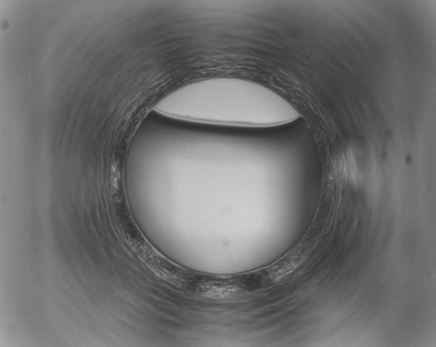 X0000054390555200507290809