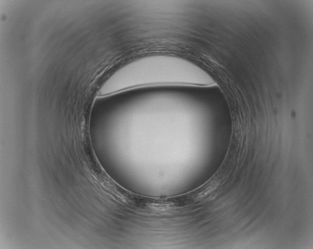 X0000054390556200507290809