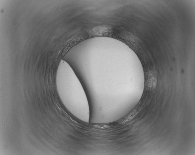 X0000054390569200507290809