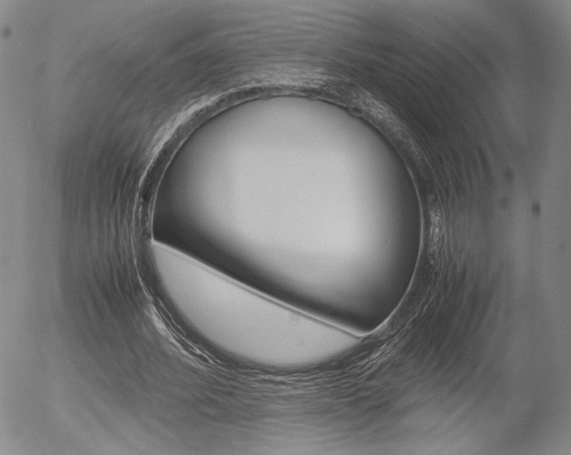 X0000054390580200507290808