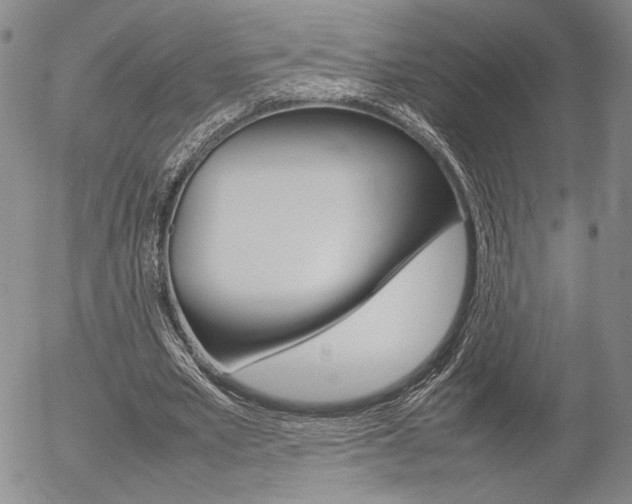 X0000054390581200507290808