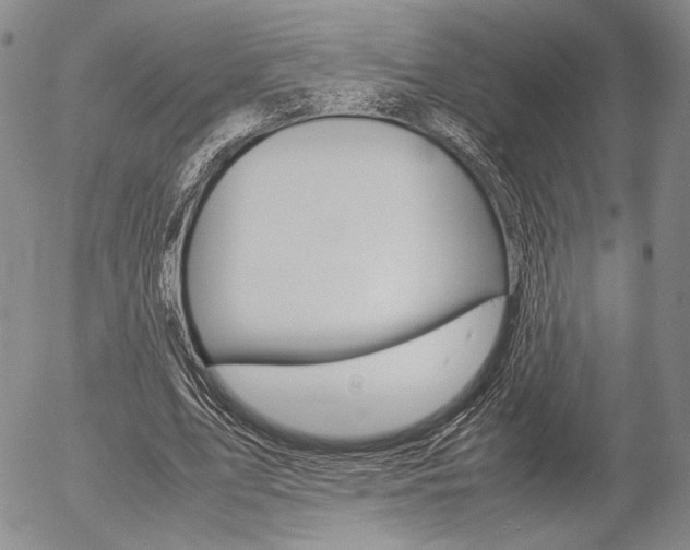 X0000054390583200507290808