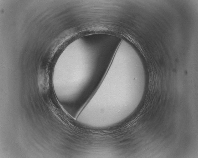 X0000054390584200507290808