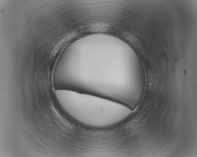 X0000054390586200507290808