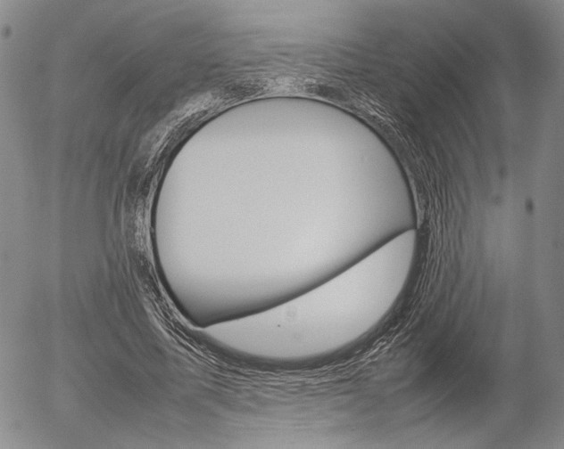 X0000054390587200507290808
