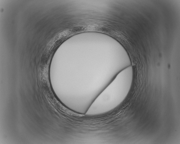X0000054390591200507290808