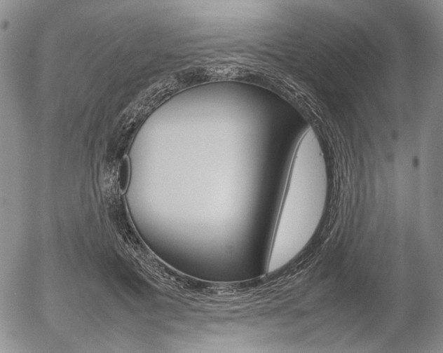 X0000054390601200507290808