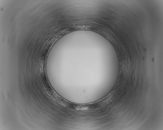 X0000054390602200507290808