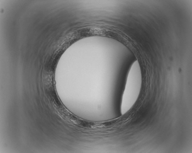 X0000054390603200507290808