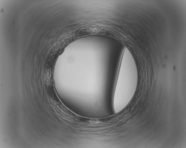 X0000054390605200507290808