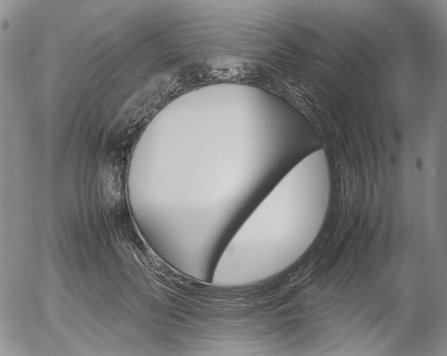 X0000054390606200507290808