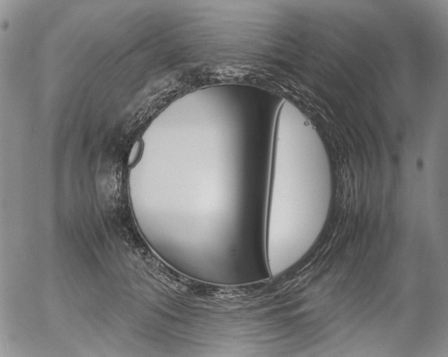 X0000054390608200507290808