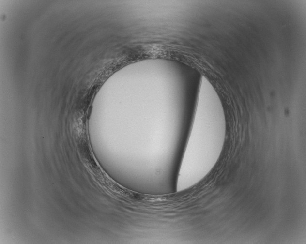 X0000054390611200507290808