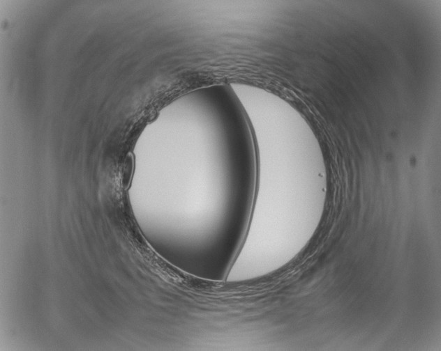 X0000054390613200507290808
